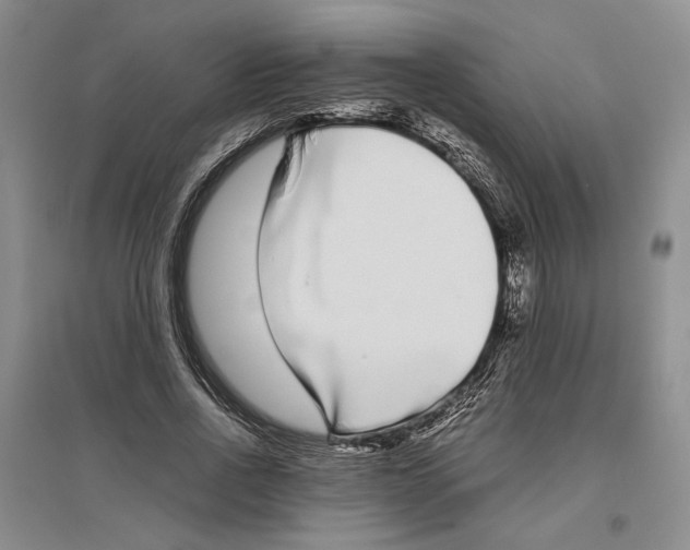 X0000096420734200802211123