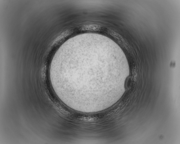 X0000096420735200802211123