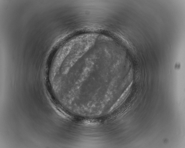 X0000096420736200802211123