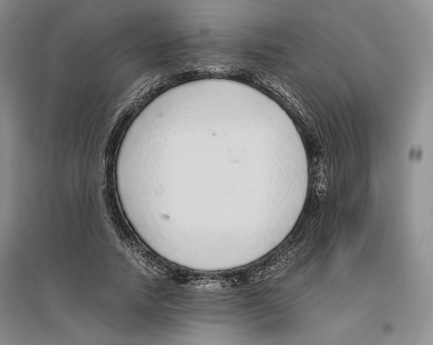 X0000096420738200802211123