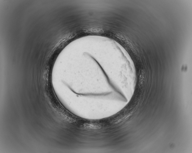 X0000096420739200802211123