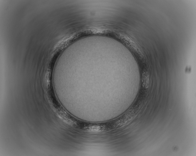 X0000096420740200802211123