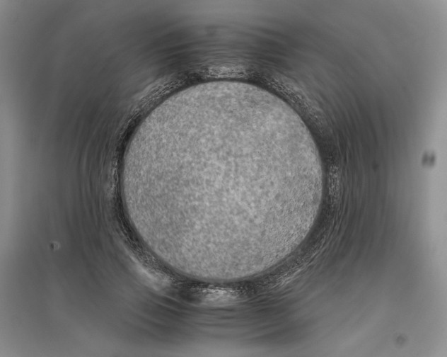 X0000096420741200802211123
