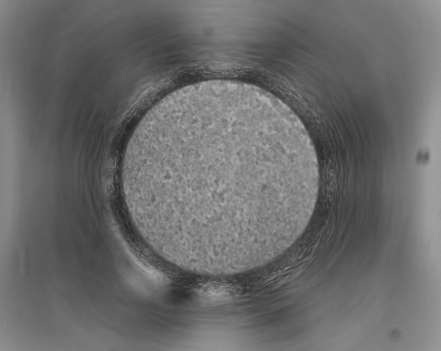 X0000096420742200802211123