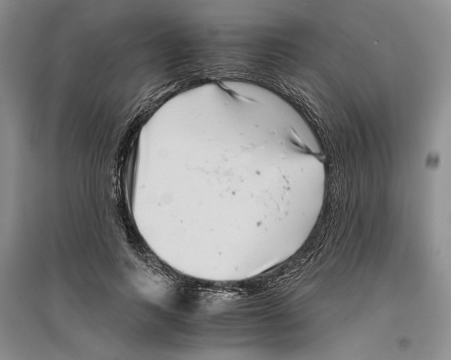 X0000096420743200802211123