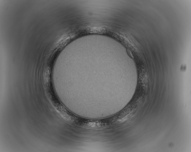 X0000096420744200802211123