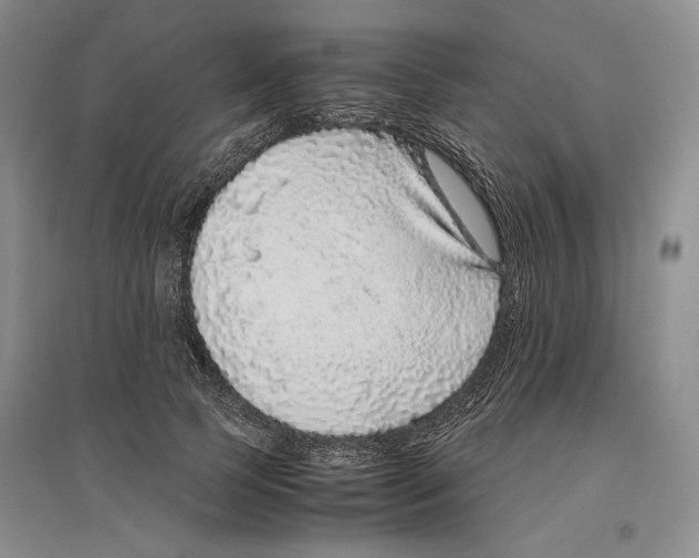 X0000096420745200802211123