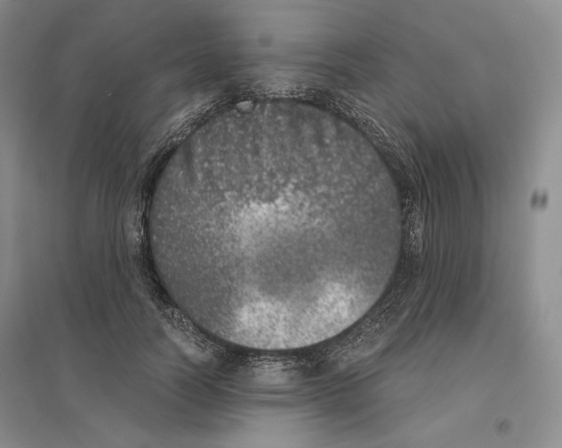 X0000096420746200802211123