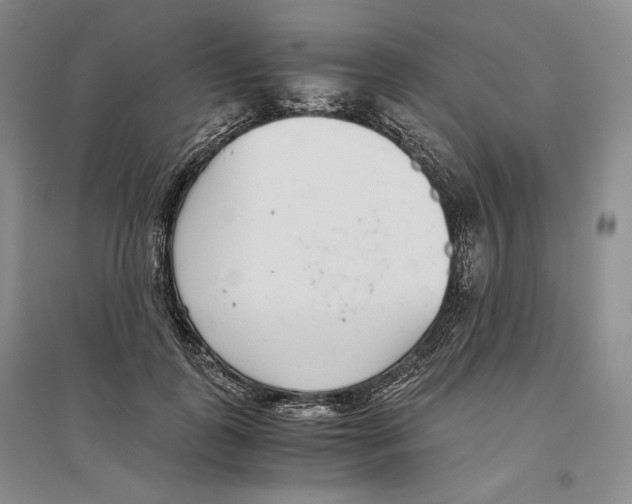 X0000096420747200802211123