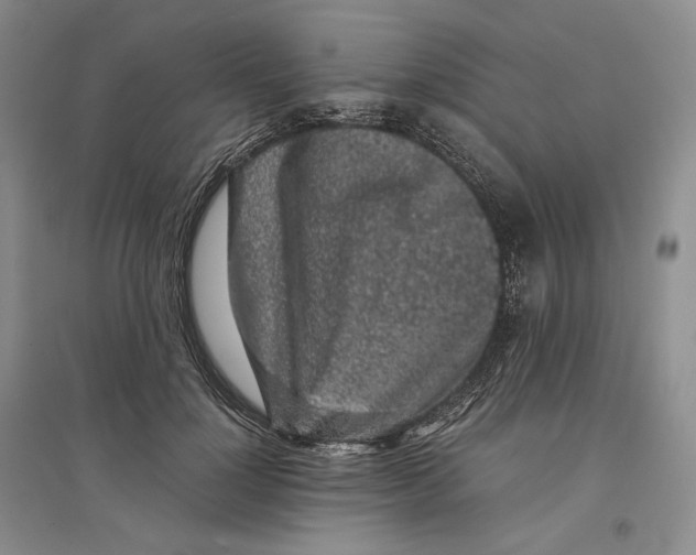 X0000096420748200802211123