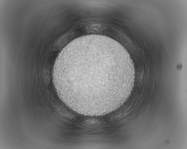 X0000096420749200802211123