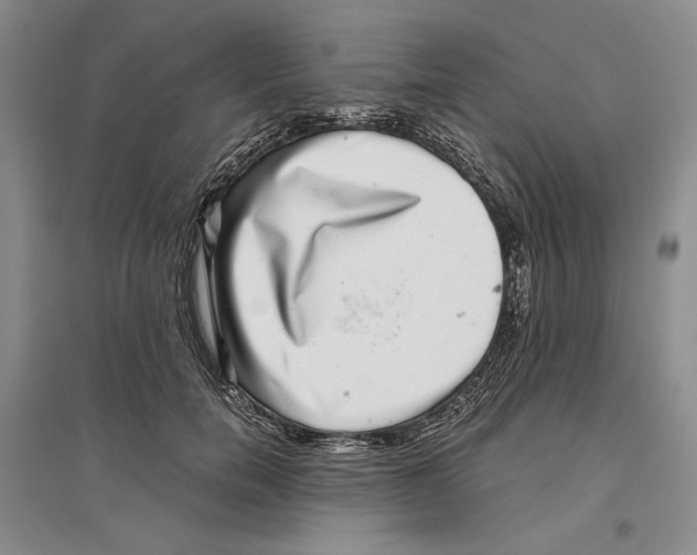 X0000096420750200802211123