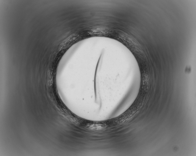 X0000096420751200802211123