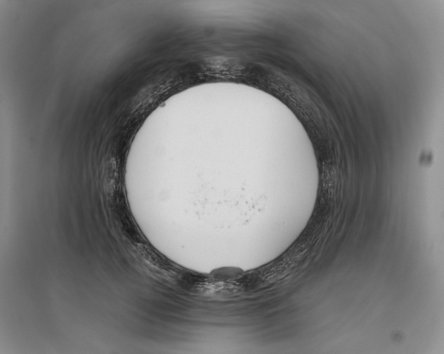 X0000096420752200802211123
