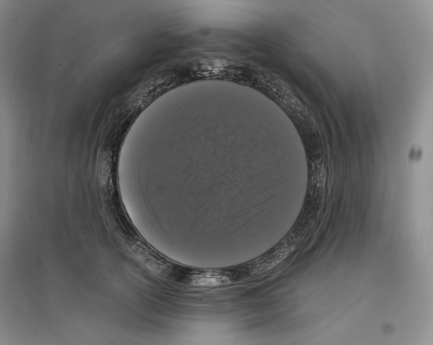 X0000096420754200802211123