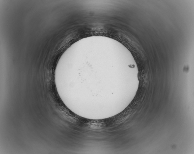 X0000096420756200802211123