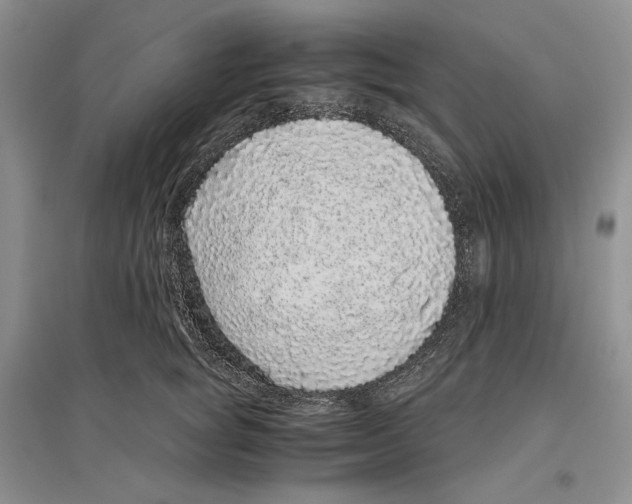 X0000096420757200802211123