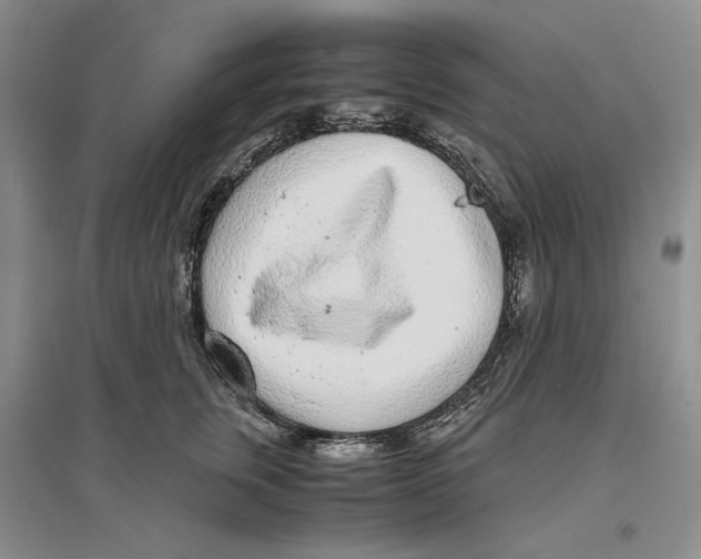 X0000096420759200802211123