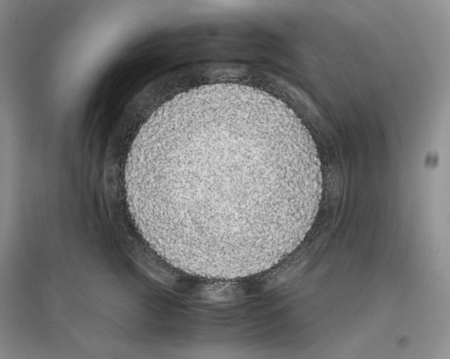 X0000096420761200802211123