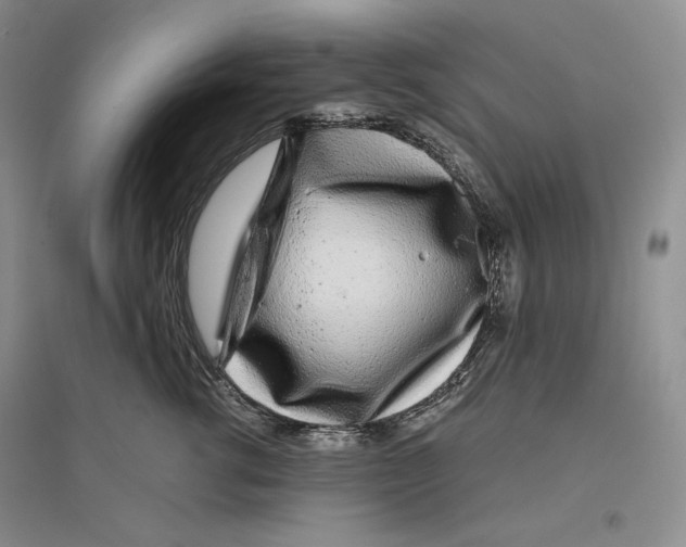 X0000096420762200802211123