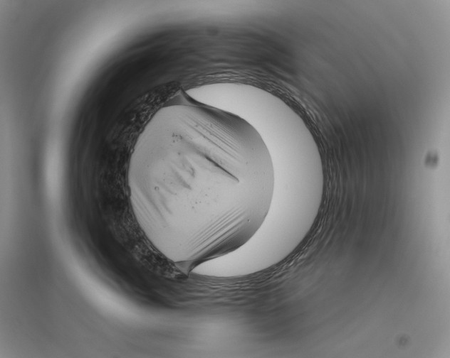 X0000096420764200802211123