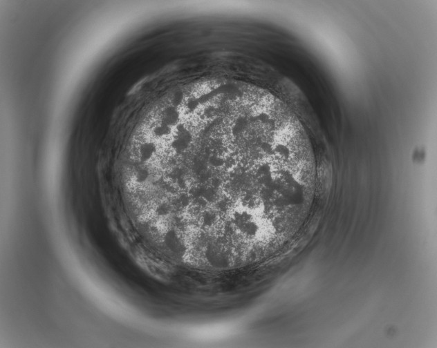 X0000096420765200802211123