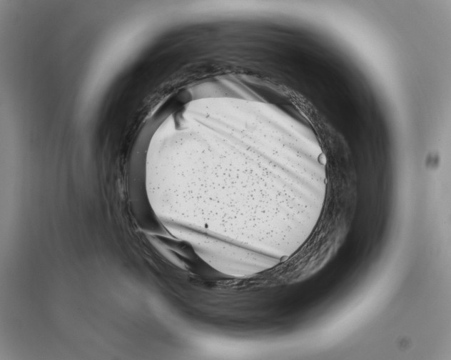 X0000096420766200802211123