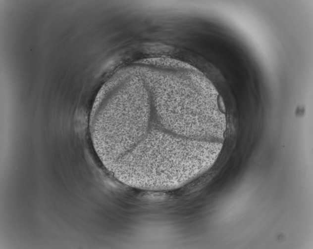 X0000096420767200802211123