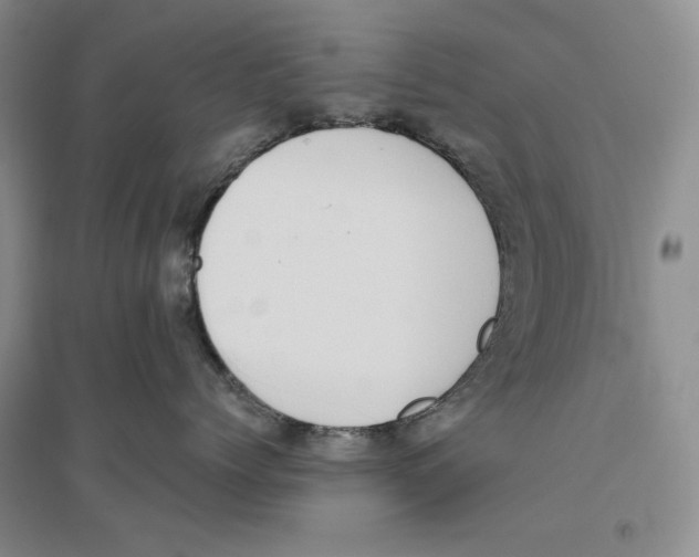 X0000096420768200802211123