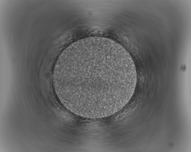 X0000096420769200802211123
