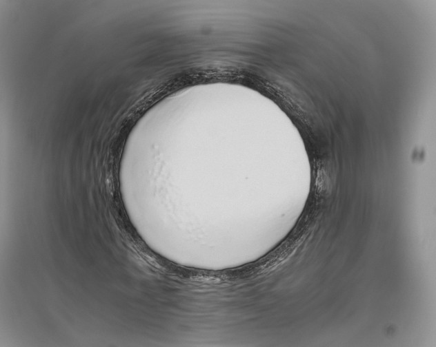 X0000096420771200802211123