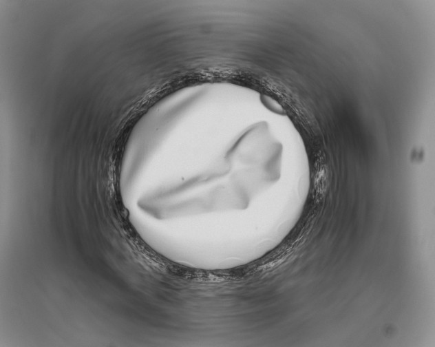 X0000096420772200802211123