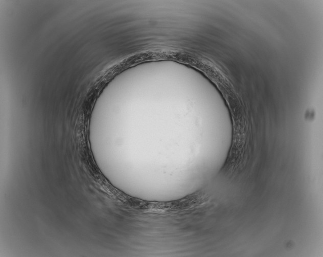 X0000096420773200802211123