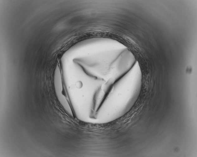 X0000096420774200802211123