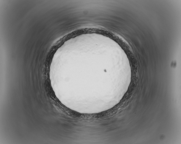X0000096420775200802211123