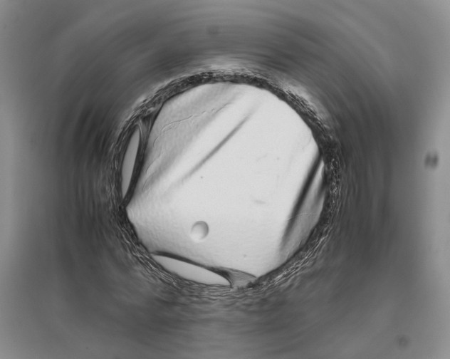 X0000096420776200802211123