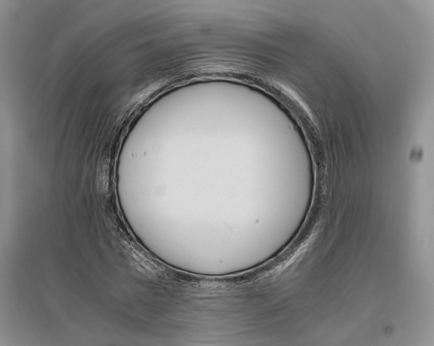 X0000096420777200802211123