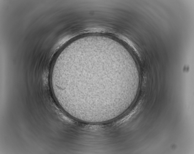 X0000096420778200802211123