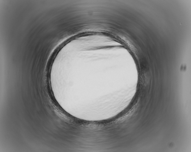 X0000096420779200802211123