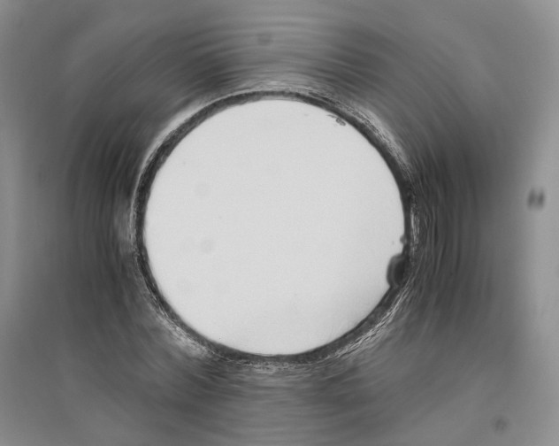 X0000096420780200802211123