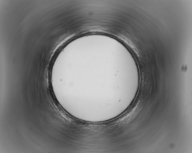 X0000096420782200802211122