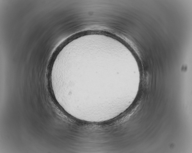 X0000096420783200802211122
