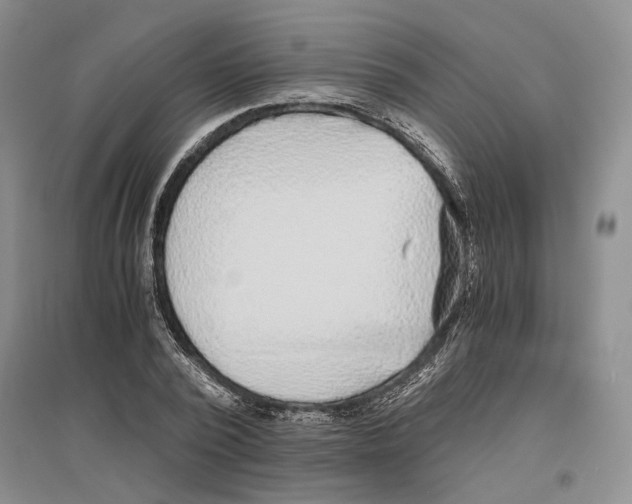 X0000096420784200802211122