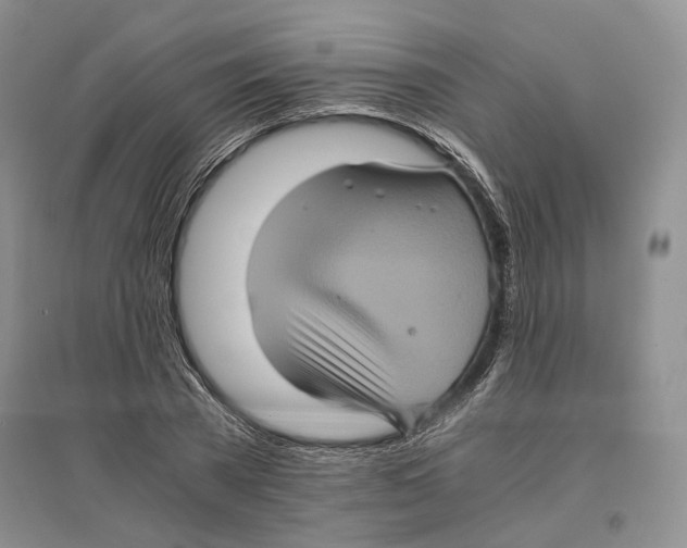 X0000096420785200802211122