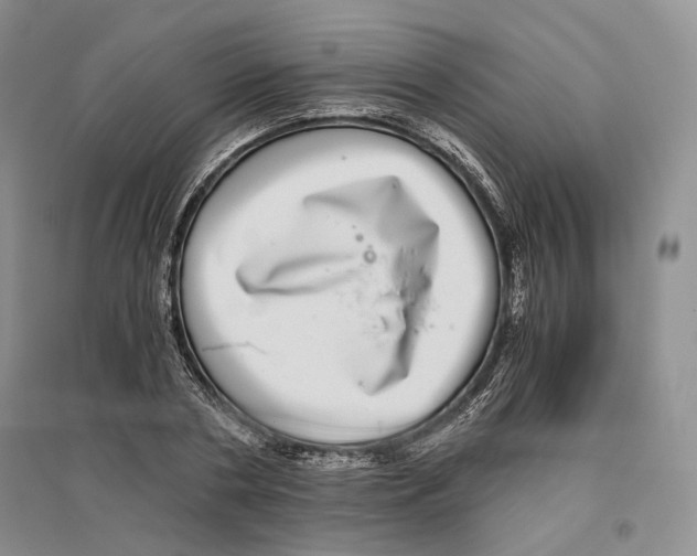 X0000096420786200802211122