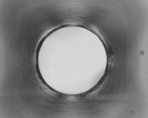 X0000096420787200802211122