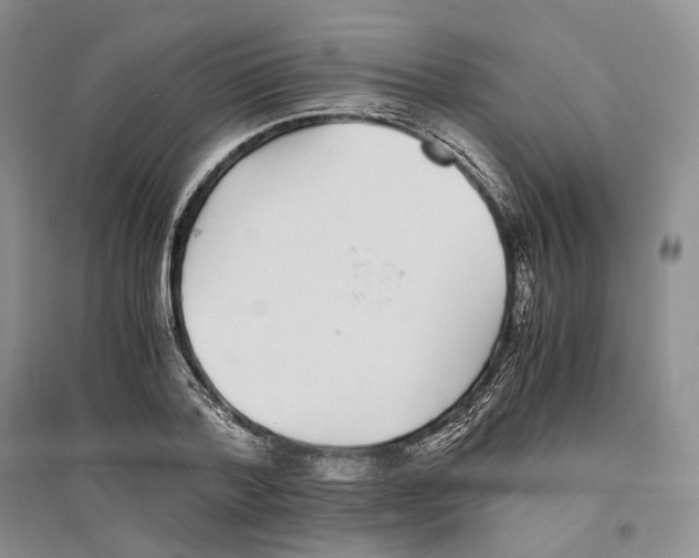 X0000096420788200802211122