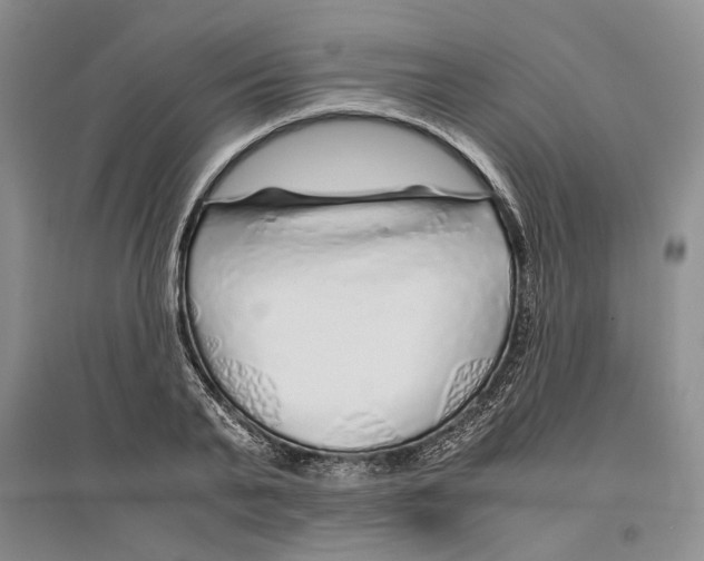X0000096420791200802211122