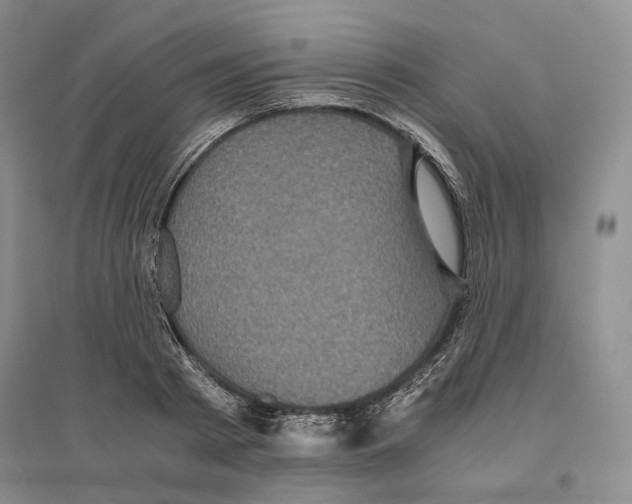 X0000096420793200802211122