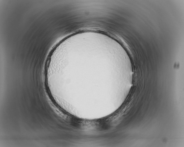 X0000096420795200802211122
